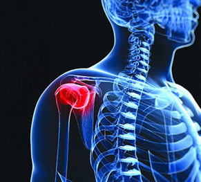 Bone & Soft Tissue Tumor