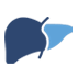 Liver Cancer